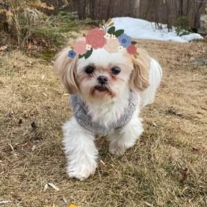 Meet your Posher, Janelle